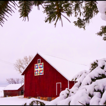 Barn Quilts of Carver County in Snowy Settings